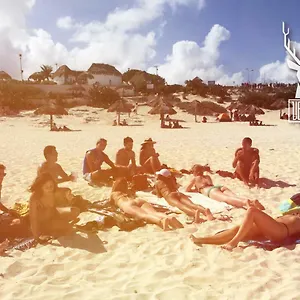 Venado , Cancún México